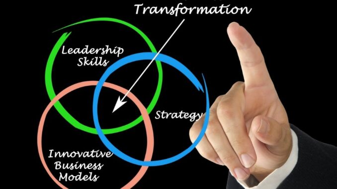 directeur de la transformation