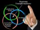 directeur de la transformation