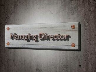 directeur du controle de gestion