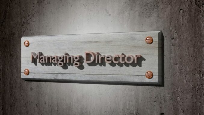 directeur du controle de gestion